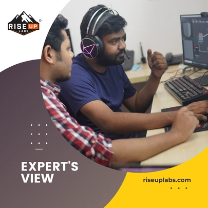 Expert's view
